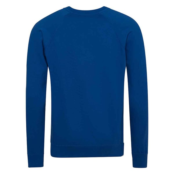 Awdis Barn/Kids Academy Raglan Sweatshirt