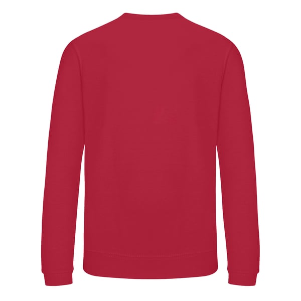 Awdis Childrens/Kids Academy V Neck Sweatshirt