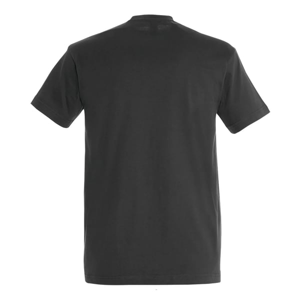 SOLS Unisex Adult Imperial Heavy T-Shirt