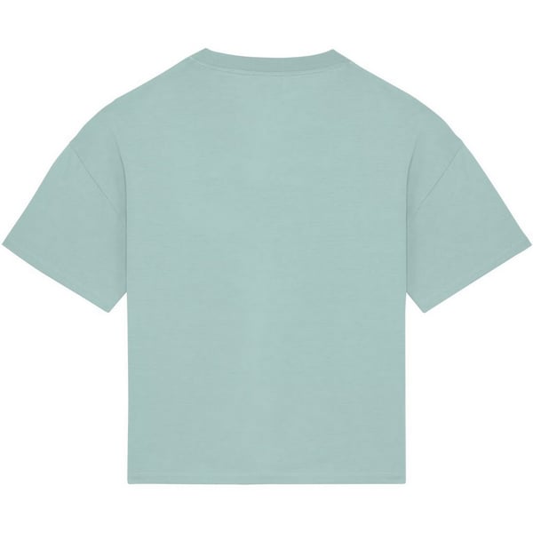 Native Spirit Womens/Ladies Oversized T-Shirt