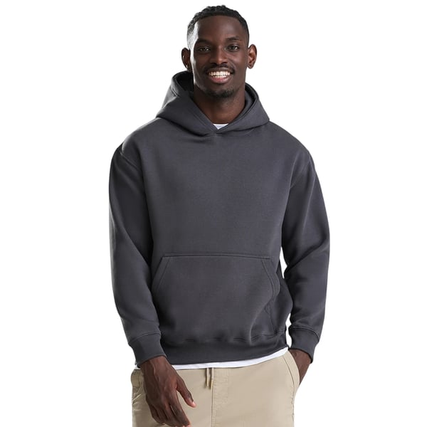 Awdis Unisex Adult Vision Heavyweight Hoodie