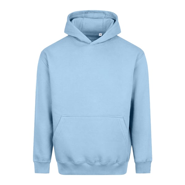 Awdis Unisex Adult Vision Heavyweight Hoodie