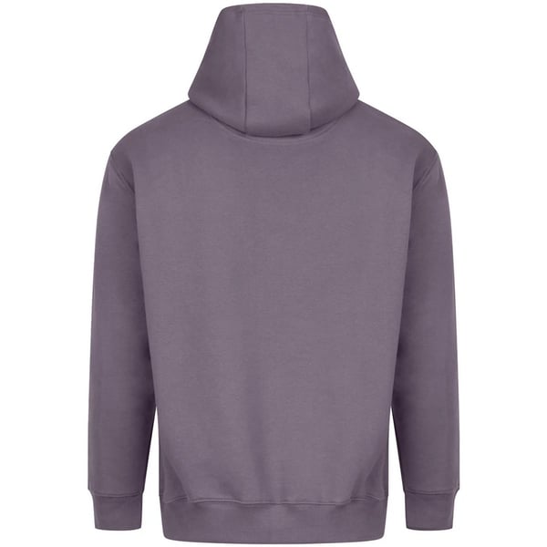 Awdis Unisex Adult Vision Heavyweight Hoodie
