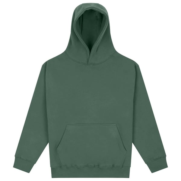 Awdis Unisex Adult Vision Heavyweight Hoodie