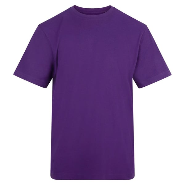 Awdis Unisex Adult Cotton T-Shirt