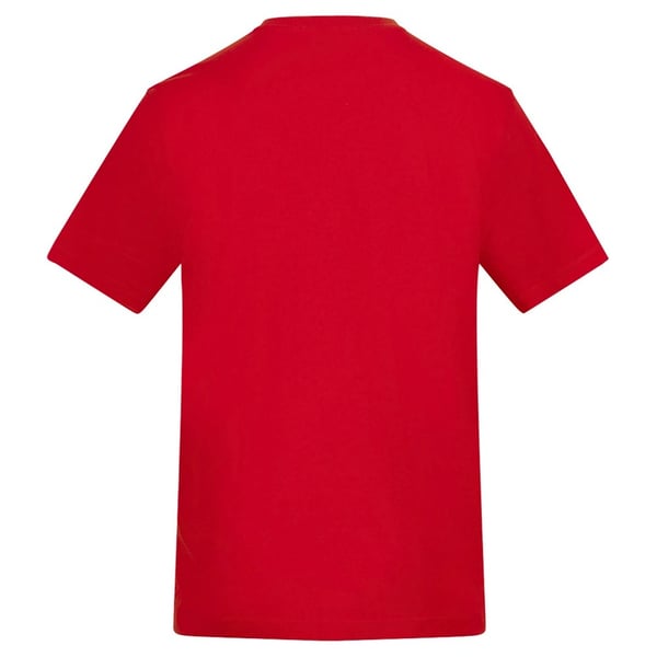 Awdis Unisex Adult Cotton T-Shirt