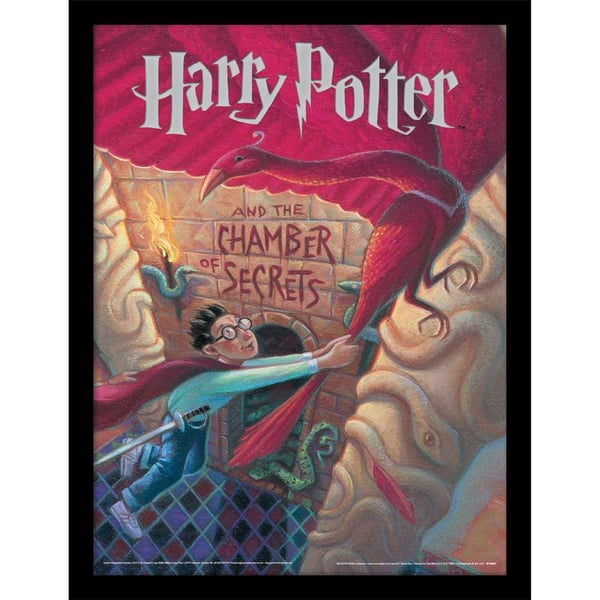 Harry Potter The Chamber Of Secrets Framed Poster