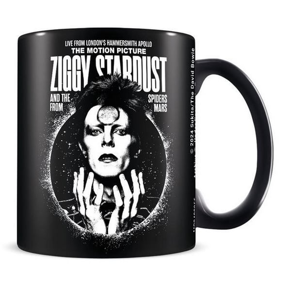 David Bowie Ziggy Stardust Mugg