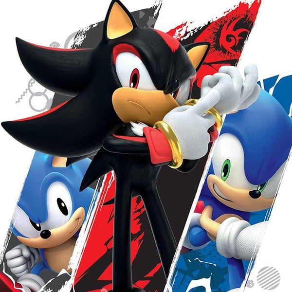 Sonic The Hedgehog Shadow & Sonic Print