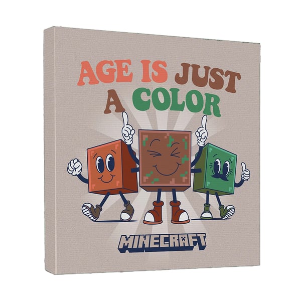 Minecraft Age Is Just A Color Canvas Print