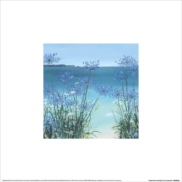 Claire Henley Summer View Of Gull Rock Print