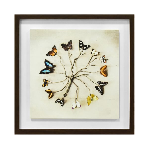 Ian Winstanley Butterfly Harmony Wood Framed Plaque
