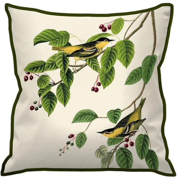 John James Audubon Kolsyrad Sångarfågel Kudde