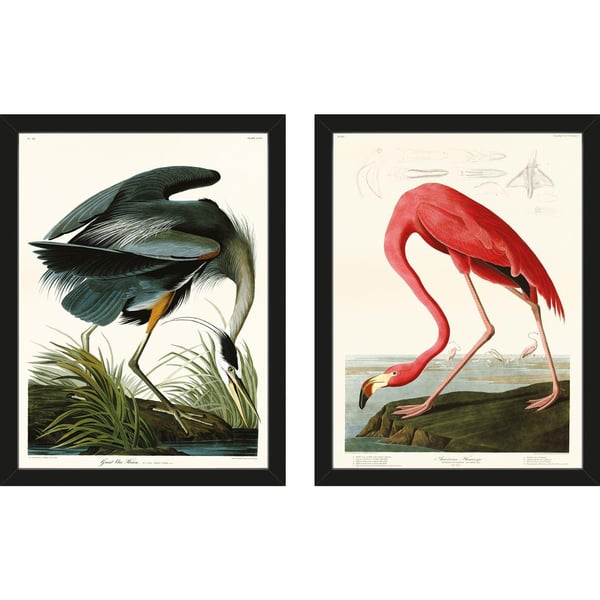 John James Audubon Great Blue Heron / American Flamingo Framed Print  (Pack of 2)
