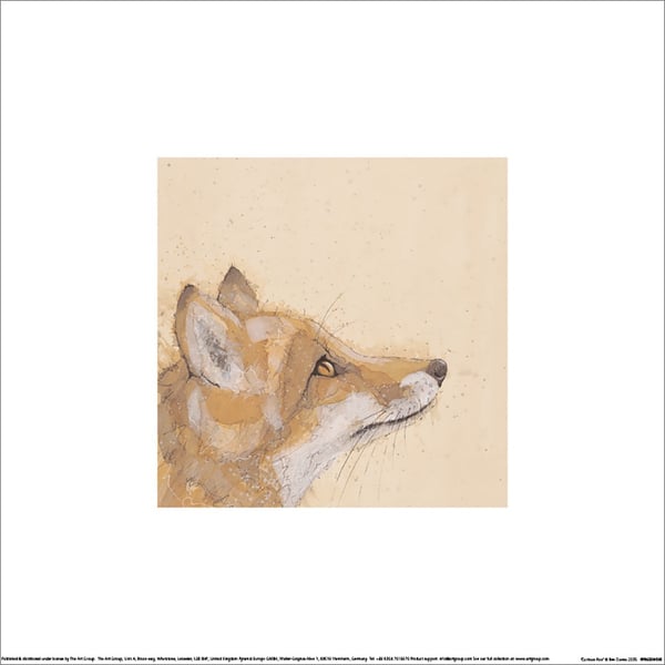 Bev Davies Curious Fox Print