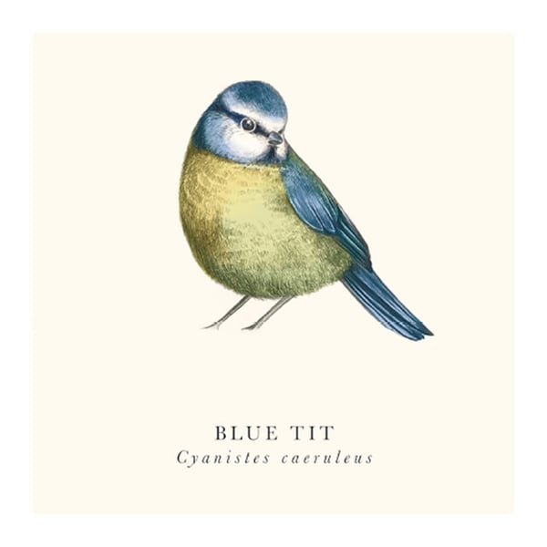 Tall Boy Prints Sinitiainen-printti