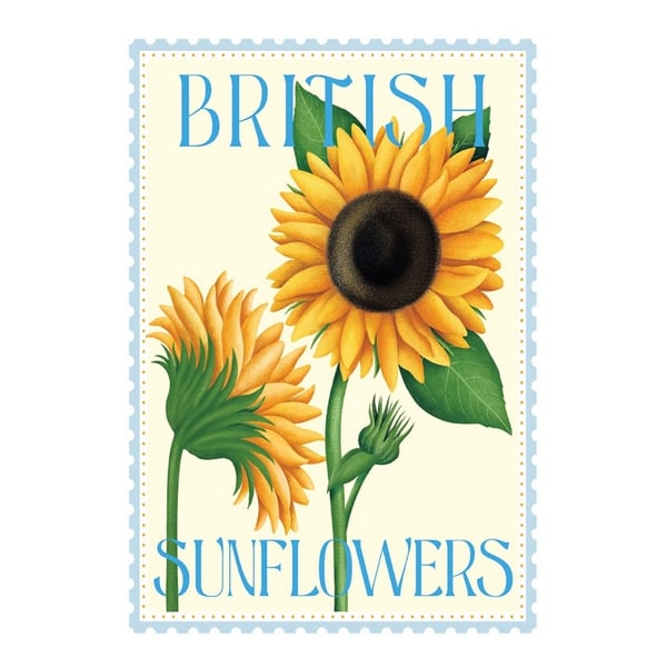 Tall Boy Prints British Sunflowers Paper Print