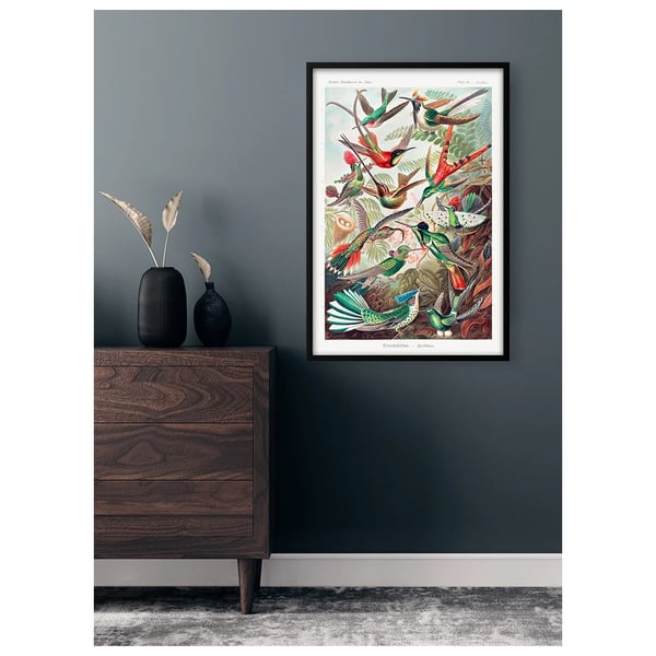 Ernst Haeckel Trochilidae-tryck