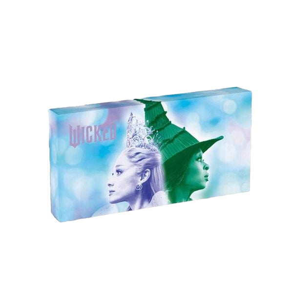 Wicked Letterbox Elphaba and Glinda Framed Canvas Print