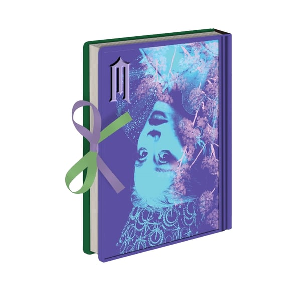 Wicked Premium Flip Flops Elphaba and Glinda A5 Notebook