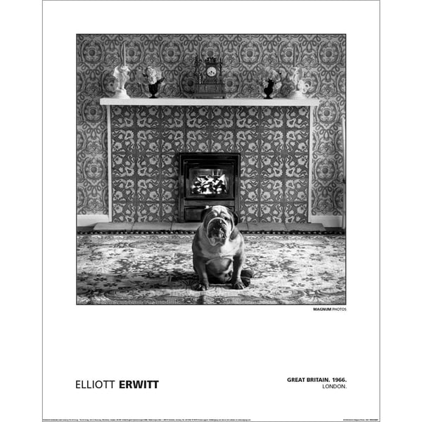 Magnum Elliot Erwitt - Great Britain London 1966 Paper Poster