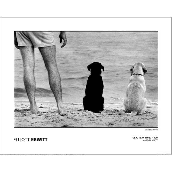 Magnum Elliot Erwitt - Usa New York Amagansett 1990 Paper Poster