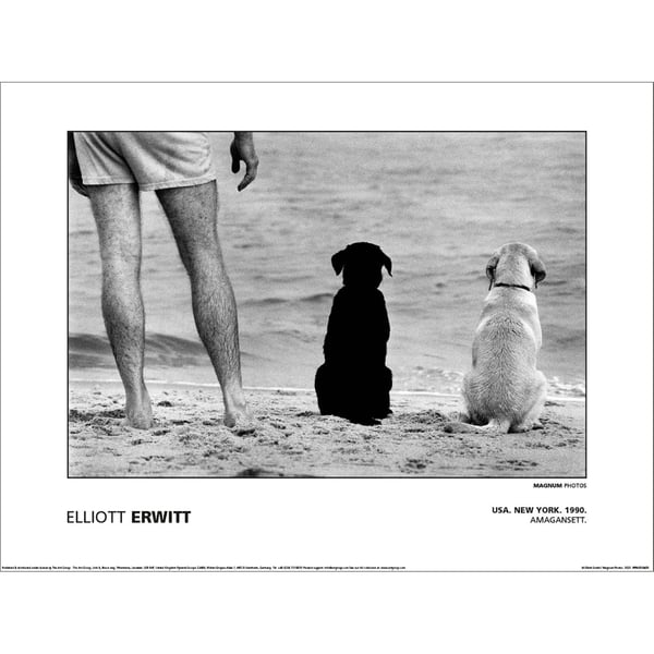 Magnum Elliot Erwitt - Usa New York Amagansett 1990 Paper Poster