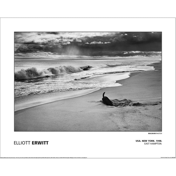 Magnum Elliot Erwitt - Usa New York East Hampton 1998 Paper Print