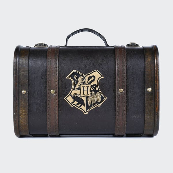 Harry Potter Trouble Finds Me -vesipullosetti (8 kpl)