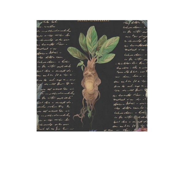 Harry Potter Yume Fantasy Print