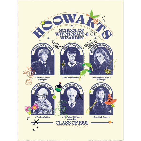 Harry Potter Class Of 1991 Bulletin Board Print