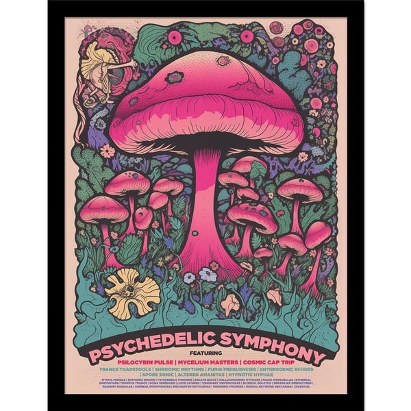 Ada Ingram Psychedelic Symphony Festival Inramad Affisch