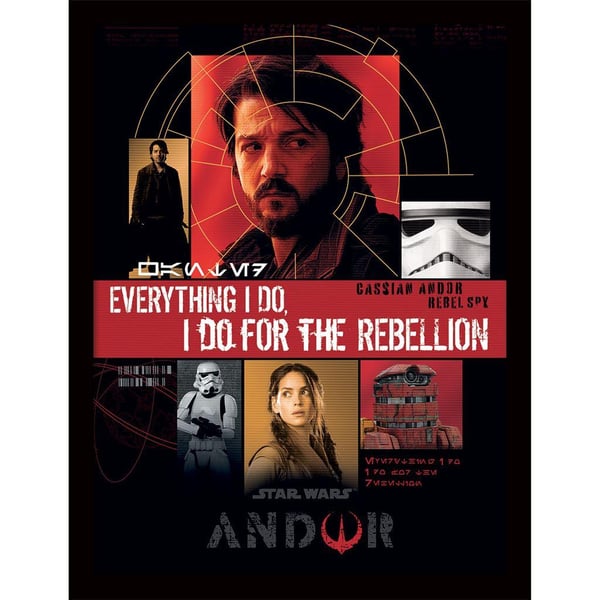 Star Wars: Andor For The Rebellion Framed Poster