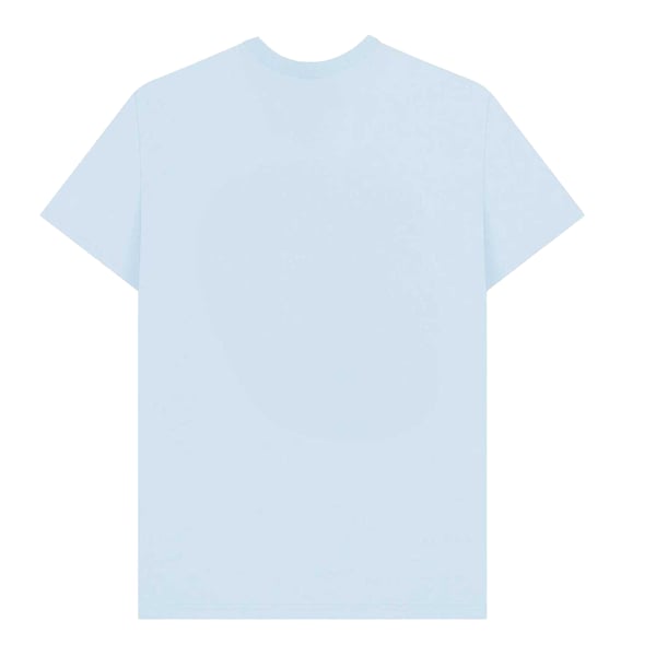 The Powerpuff Girls Unisex Adult Logo T-Shirt