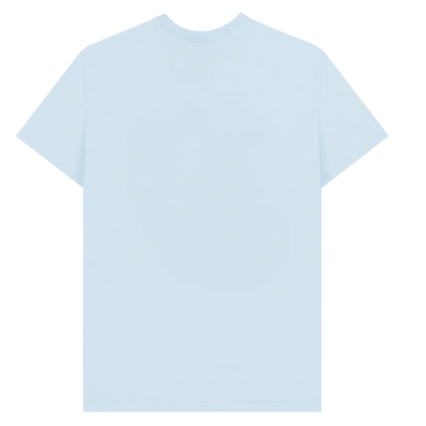 Apoh Unisex Adult Manga Hokusai T-Shirt