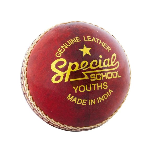 Readers Børne/børn Specialskole læder cricketbold i læder