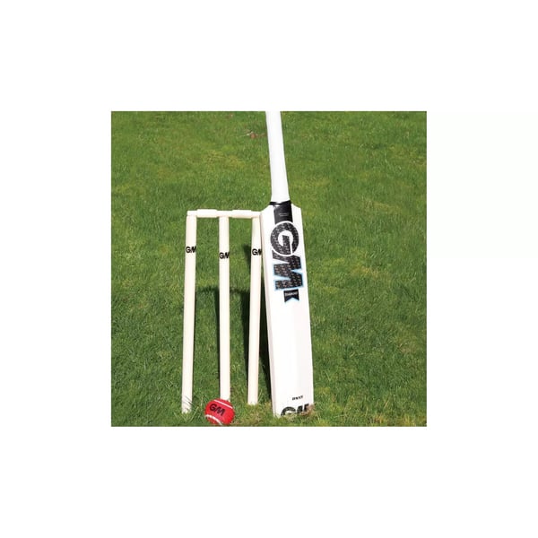 Gunn And Moore Diamond Cricket Set