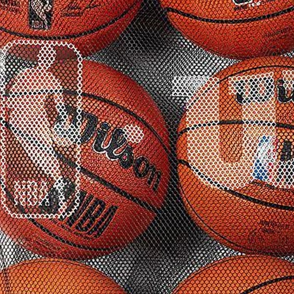 Wilson NBA verkkopallokassi