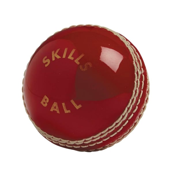Gunn And Moore Unisex Adult Skills Cricket Ball