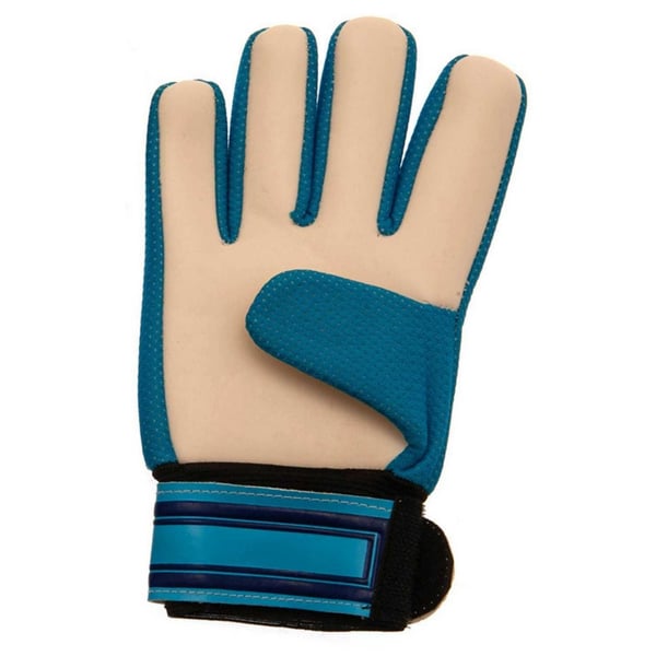 Tottenham Hotspur FC Childrens/Kids Crest Goalkeeper Gloves