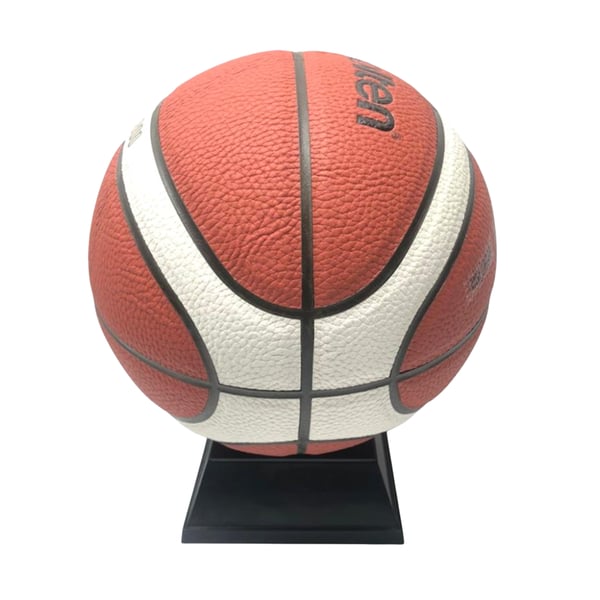 Molten 3800 Composite Basketball