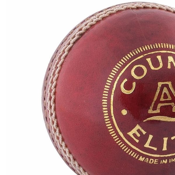 Readers Childrens/Kids County Elite A Leather Cricket Ball