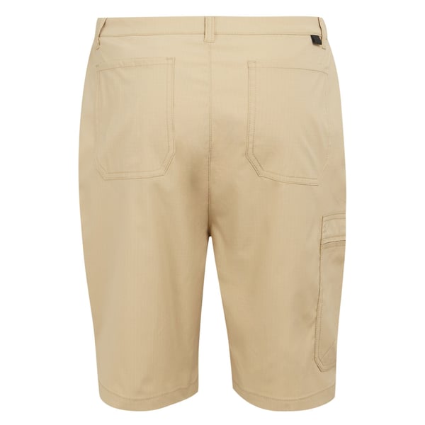 Regatta Mens Dalry Multi Pocket Shorts