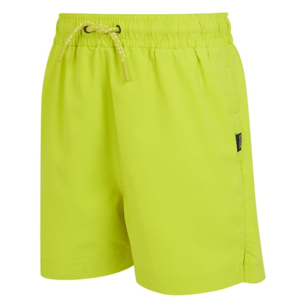 Regatta Childrens/Kids Skander III Plain Swim Shorts