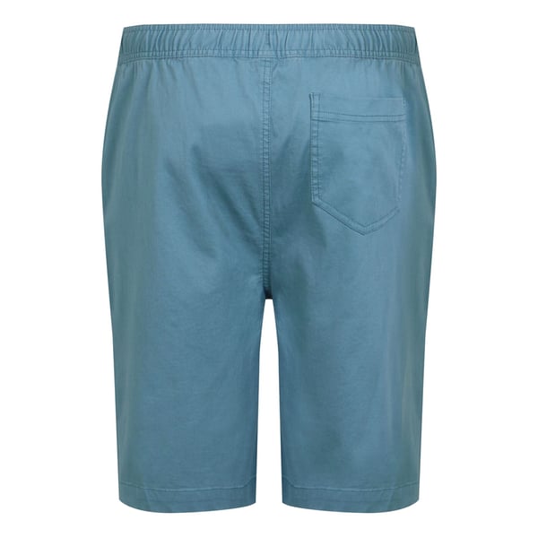 Regatta Mens Aldan Chino Shorts