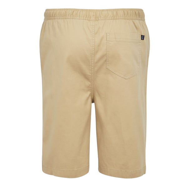 Regatta Mens Aldan Chino Shorts