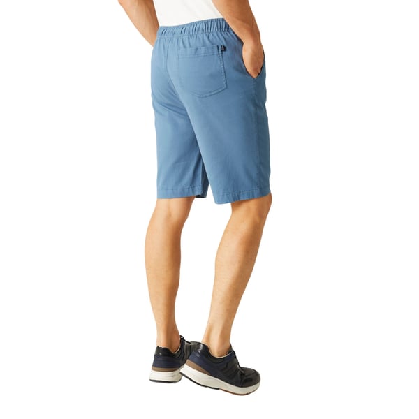 Regatta Mens Aldan Chino Shorts