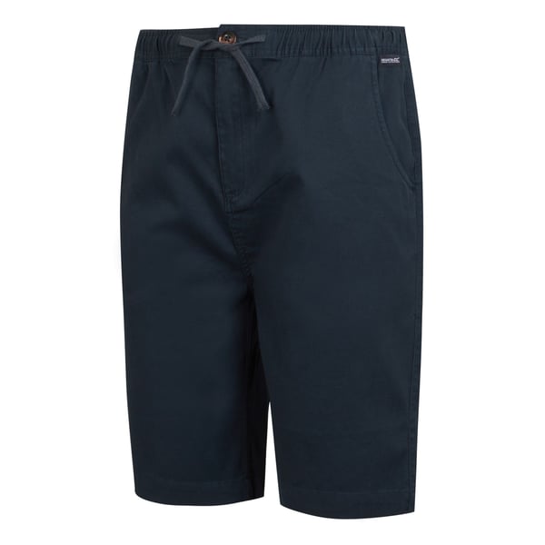 Regatta Mens Aldan Chino Shorts