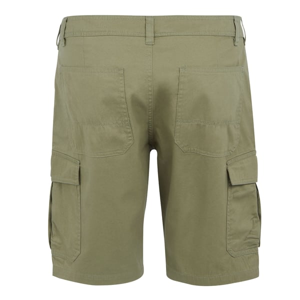 Regatta Mens Ruwan Casual Shorts