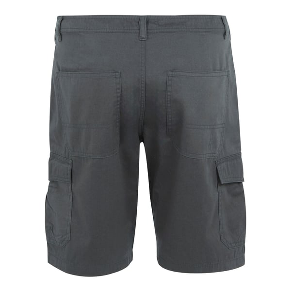 Regatta Mens Ruwan Casual Shorts